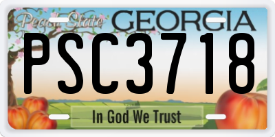 GA license plate PSC3718