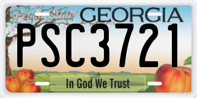 GA license plate PSC3721