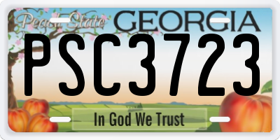 GA license plate PSC3723