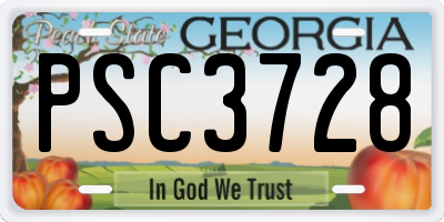GA license plate PSC3728