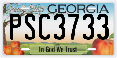 GA license plate PSC3733