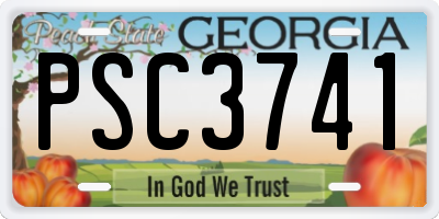 GA license plate PSC3741