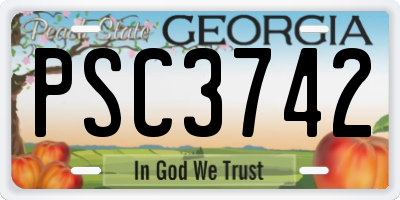GA license plate PSC3742