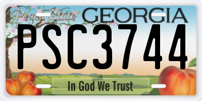 GA license plate PSC3744