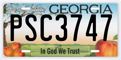 GA license plate PSC3747