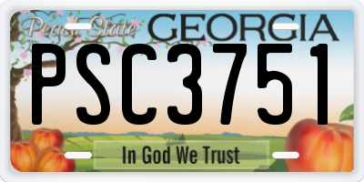 GA license plate PSC3751