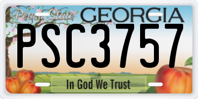 GA license plate PSC3757