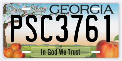 GA license plate PSC3761