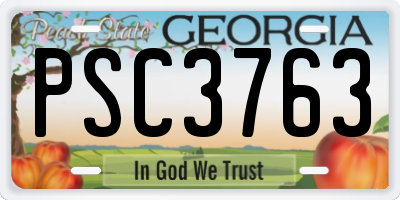 GA license plate PSC3763