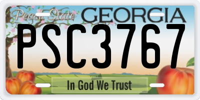 GA license plate PSC3767