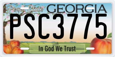 GA license plate PSC3775