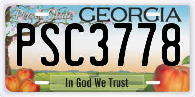 GA license plate PSC3778