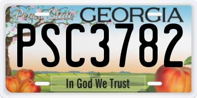 GA license plate PSC3782