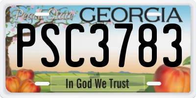 GA license plate PSC3783