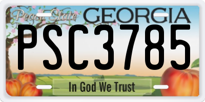 GA license plate PSC3785