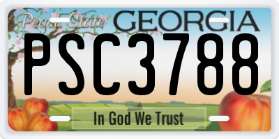 GA license plate PSC3788