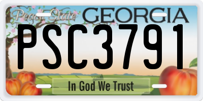 GA license plate PSC3791
