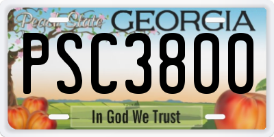 GA license plate PSC3800