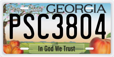 GA license plate PSC3804