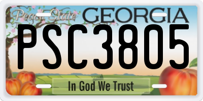 GA license plate PSC3805