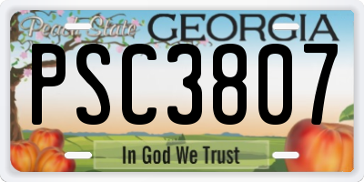GA license plate PSC3807