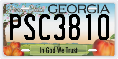 GA license plate PSC3810