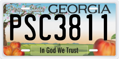 GA license plate PSC3811