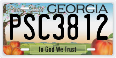 GA license plate PSC3812