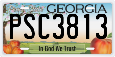 GA license plate PSC3813