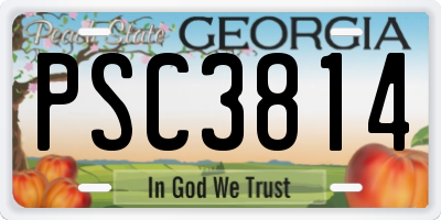 GA license plate PSC3814