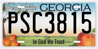 GA license plate PSC3815