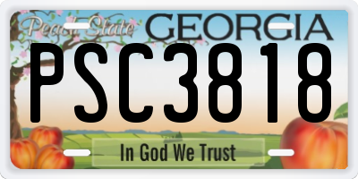 GA license plate PSC3818