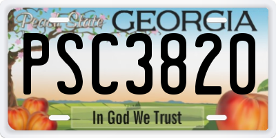 GA license plate PSC3820