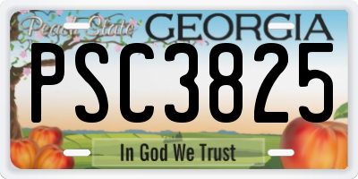 GA license plate PSC3825