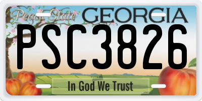 GA license plate PSC3826
