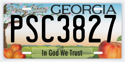GA license plate PSC3827