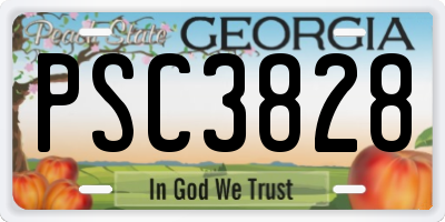 GA license plate PSC3828