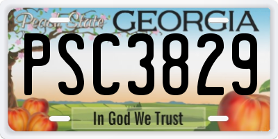GA license plate PSC3829