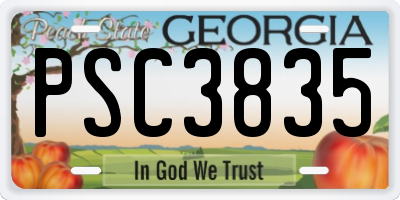 GA license plate PSC3835