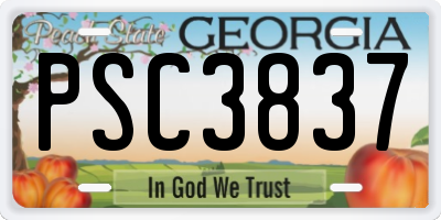 GA license plate PSC3837