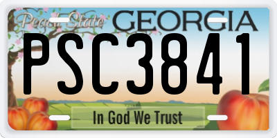 GA license plate PSC3841