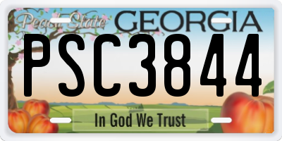 GA license plate PSC3844