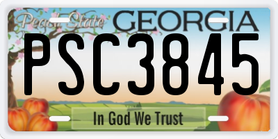 GA license plate PSC3845