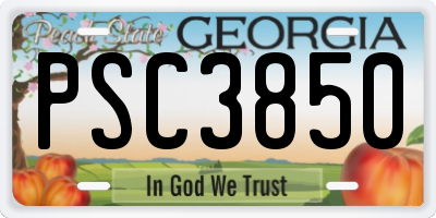 GA license plate PSC3850