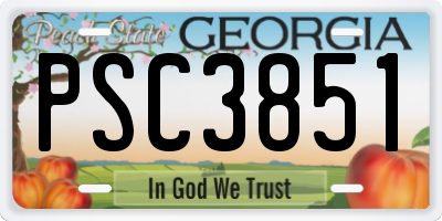 GA license plate PSC3851