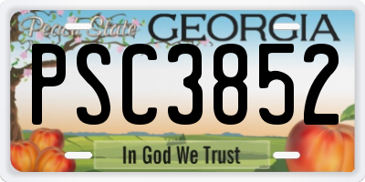 GA license plate PSC3852