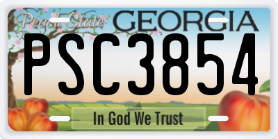 GA license plate PSC3854