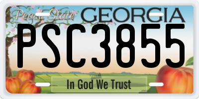 GA license plate PSC3855