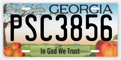 GA license plate PSC3856