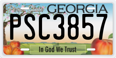 GA license plate PSC3857